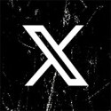 x ( twitter )