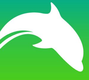 Dolphin Browser