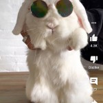صور YouTube