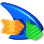 cfosspeed