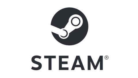 Steam