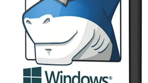 ADVANCED Codecs