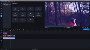 movavi video suite windows download