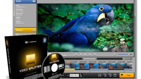 SolveigMM Video Splitter