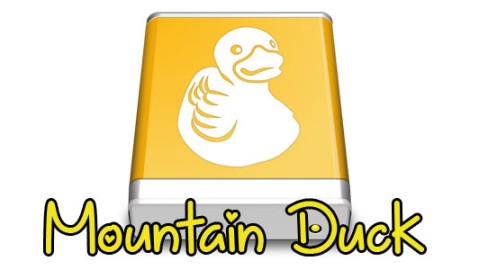 Mountain Duck