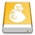 mountain duck