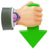 Internet Download Accelerator
