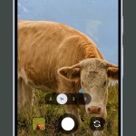 صور Pixel Camera