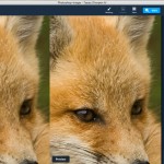 صور Sharpen AI