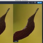 صور Sharpen AI