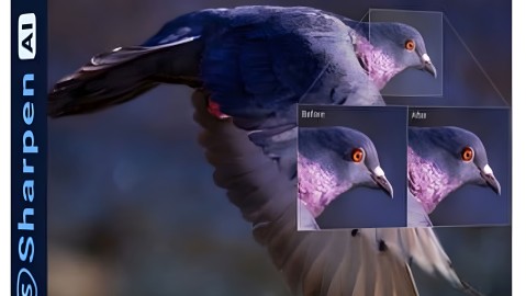Sharpen AI