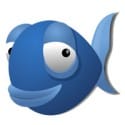 bluefish