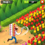 صور Gardenscapes