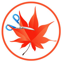 Easy Cut Studio