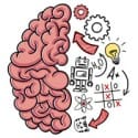 brain test