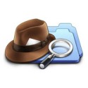 duplicate detective