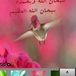 صور Old Designs