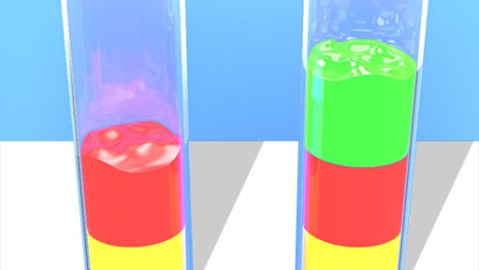 Water Sort Puzzle