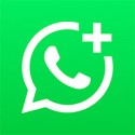 whatsapp-business