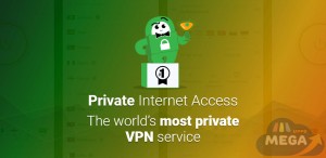 private internet access app
