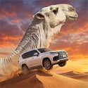 csd climbing sand dune