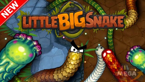 Little Big Snake
