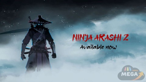 Ninja Arachi 2 