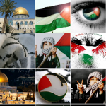 palestine wallpapers apk
