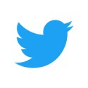 twitter lite