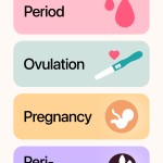 flo period tracker apk