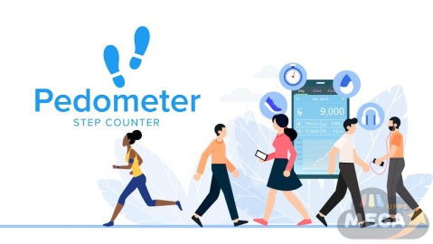 Pedometer Step Counter
