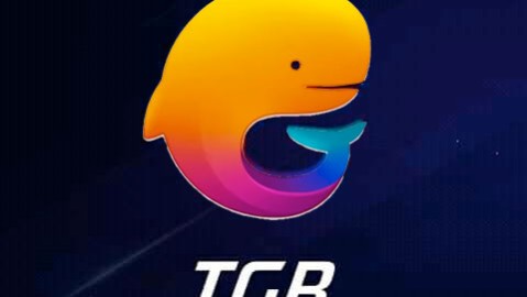 Tencent Gaming Buddy