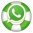 whatsapp recovery