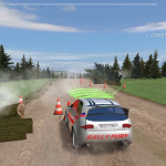 صور Rally Fury