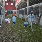 صور Ranch Simulator