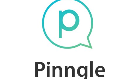 Pinngle