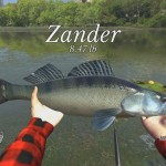 صور Ultimate Fishing Simulator 