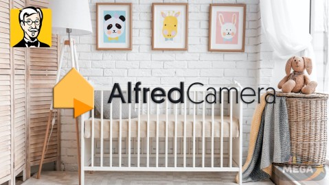 Alfred Home Security Camera