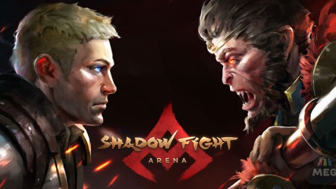 Shadow Fight Arena
