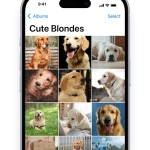 صور Keepsafe Photo Vault