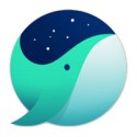 whale