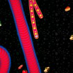 صور Worms Zone .io