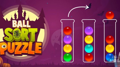 Ball Sort Puzzle