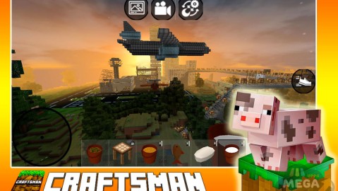 Craftsman