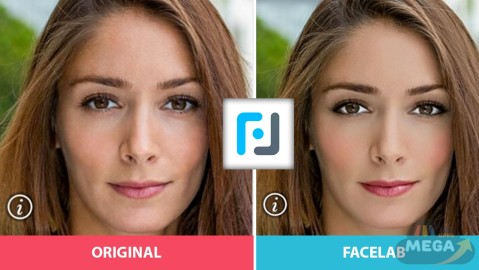 Facelab Selfie Face Editor