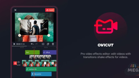 OviCut