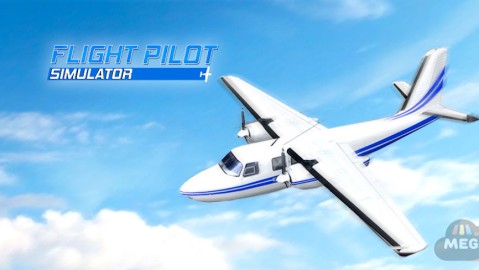 Flight Pilot Simulator 3D