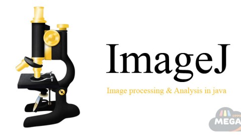 ImageJ