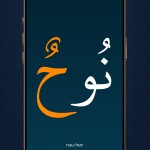 learn quran tajwid للايفون