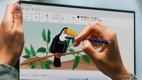 MS Paint